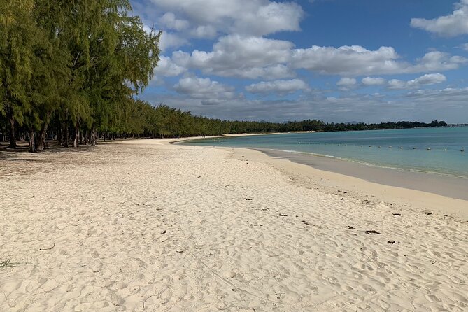 Full-Day Dolphin Watching Cruise in Mauritius - Inclusions