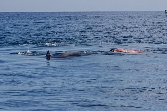 Full-Day Dolphin Watching Cruise in Mauritius - Additional Information