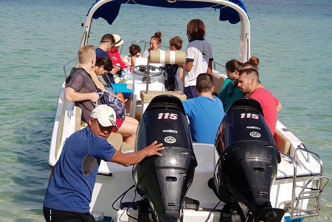 Full-Day Dolphin Watching Cruise in Mauritius - Guest Feedback