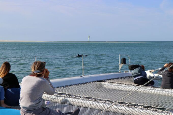 Full-Day Dolphin Watching Tour From Lisbon - Customer Feedback and Ratings