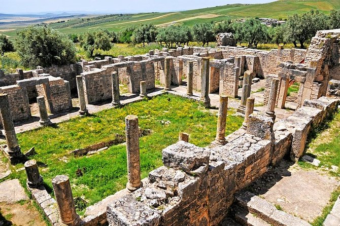 Full Day Dougga and Bulla Regia Private Tour With Lunch - Accessibility and Dietary Accommodations