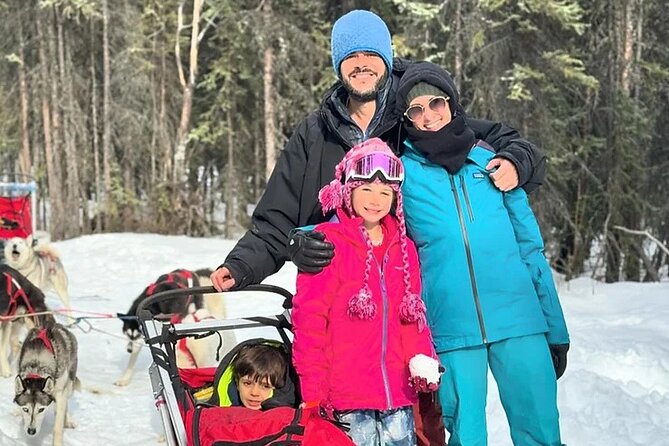 Full Day Drive Your Own Dog Team Dog Sledding Tour - Whats Included