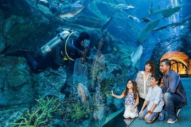 Full Day Dubai City Tour: Burj Khalifa & Underwater Zoo Ticket - Tour Experience and Reviews