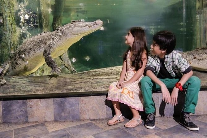 Full Day Dubai City Tour: Burj Khalifa & Underwater Zoo Ticket - Accessibility and Suitability