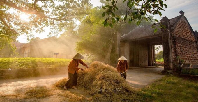 Full Day Duong Lam Village, Tay Phuong and Thay Pagoda Tour - Activities in Duong Lam Village