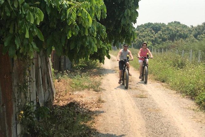 Full-Day E-Bike Adventure Ping River and Nam Phrae (Flat-Hilly, Guided) - Traveler Recommendations