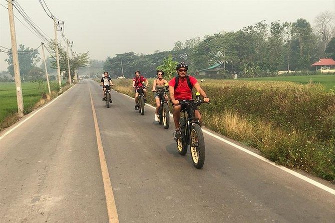 Full-Day E-Bike Adventure Ping River and Nam Phrae (Flat-Hilly, Guided) - E-Bike Technology and Safety
