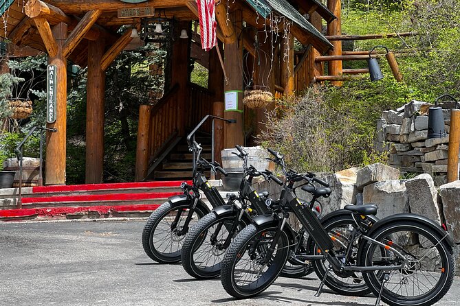 Full-Day E-Bike Rental in Flathead Valley - Pricing and Guarantees