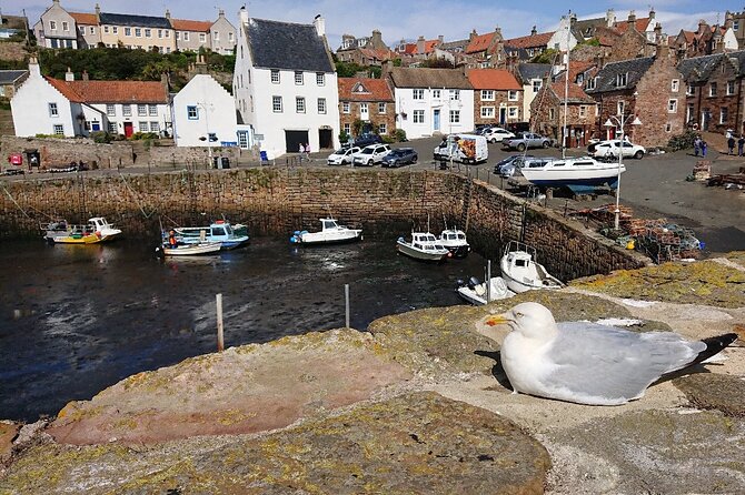 Full Day East Neuk Treasures and Stirling Castle Tour From St Andrews - Pickup and Timing