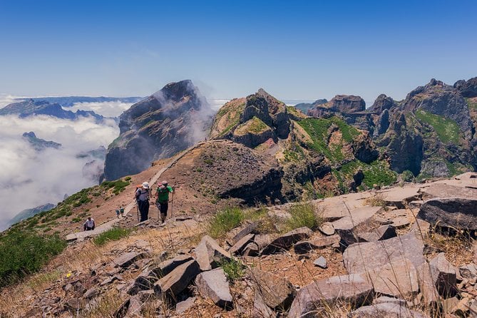 Full Day East of Madeira Tour - Accessibility