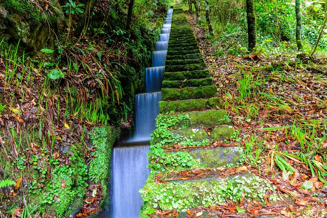 Full Day East of Madeira Tour - Cancellation Policy