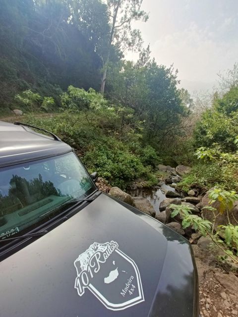 Full Day East Tour 4x4 in Madeira Islands - Booking and Pickup