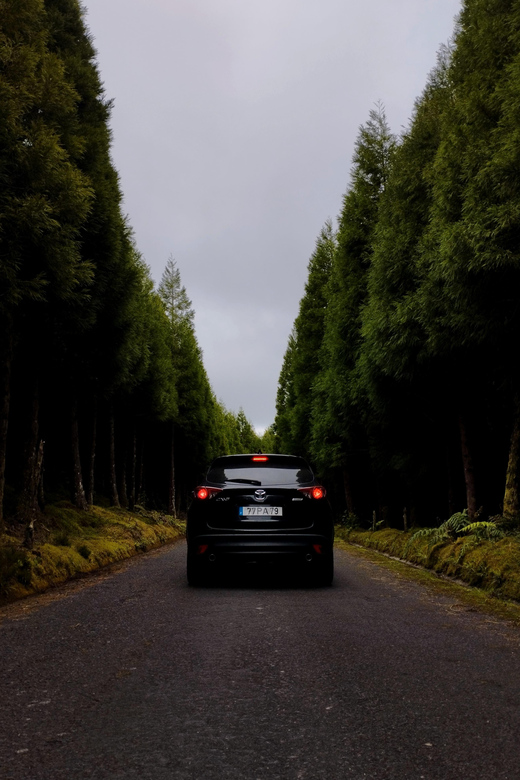 Full Day East Tour by SUV (Geothermia and Furnas) - Key Points