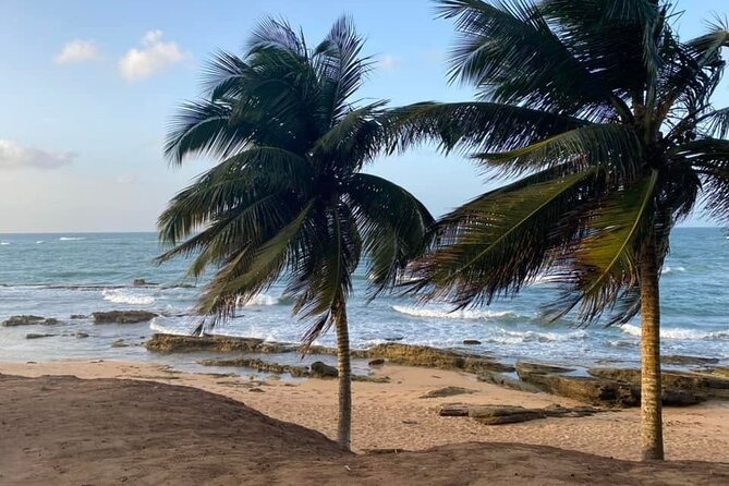 Full Day Eastern Island Tour - Booking and Pricing Details