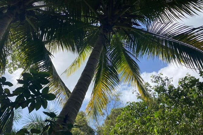 Full Day Eastern Island Tour - Highlights of the Tour