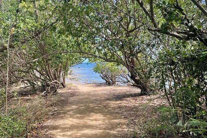 Full Day Eastern Island Tour - What to Expect on the Tour