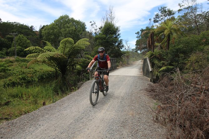 Full Day Ebike Tour in Karangahake Gorge (ex Auckland) - Tour Highlights