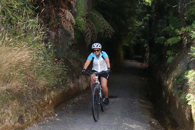 Full Day Ebike Tour in Karangahake Gorge (ex Auckland) - Ebike Experience