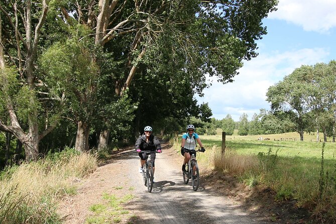 Full Day Ebike Tour in Karangahake Gorge (ex Auckland) - Scenic Trails