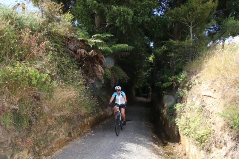 Full Day Ebike Tour - Karangahake Gorge NZ - Itinerary and Experience