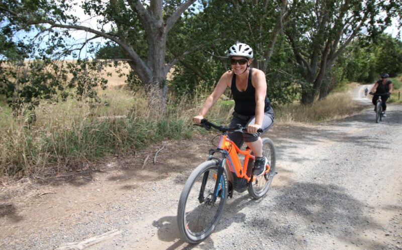 Full Day Ebike Tour - Karangahake Gorge NZ - Tour Features