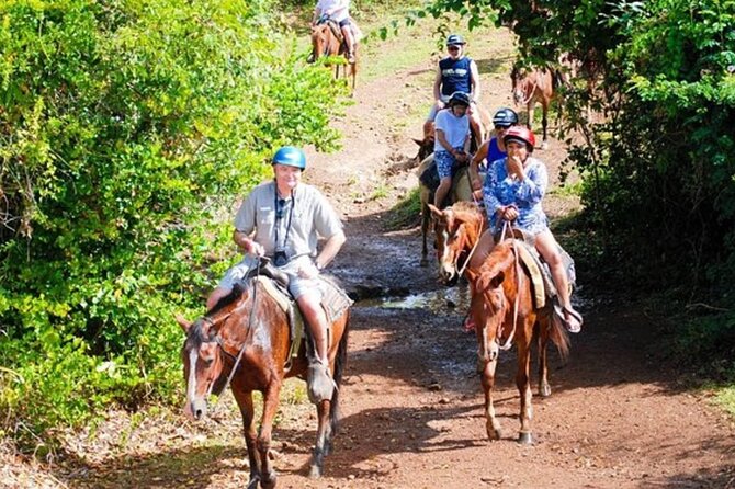 Full Day Eco Safari Adventure and Cultural Tour - Exploring the Countryside