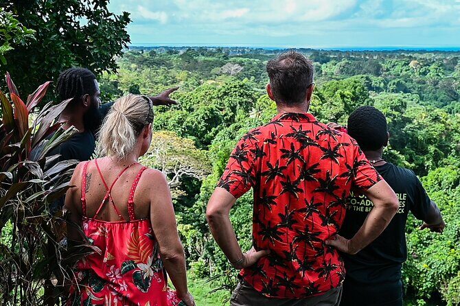 Full-Day Efate Round Island Trip with Yumi Tours - Who Should Consider This Tour?
