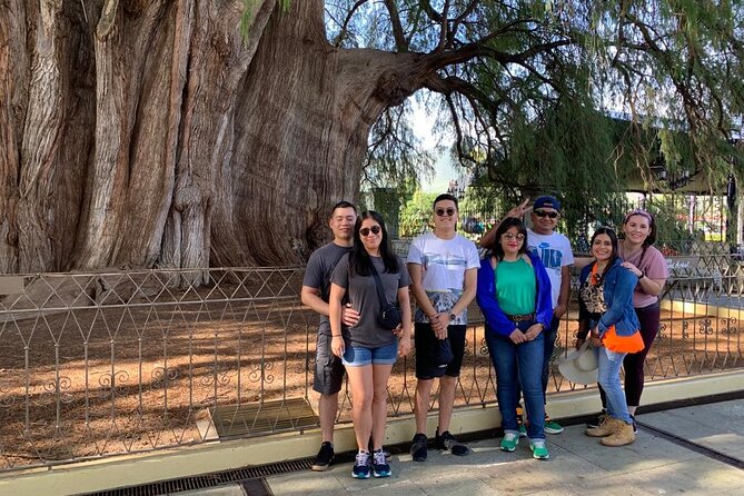 Full-Day El Tule, Mitla & Hierve El Agua Tour From Oaxaca - Tour Accessibility and Recommendations