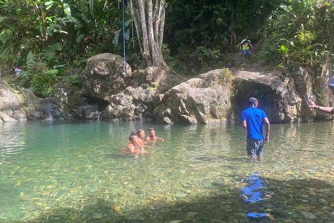 Full-Day El Yunque and Old San Juan Tour With Transport - Inclusions