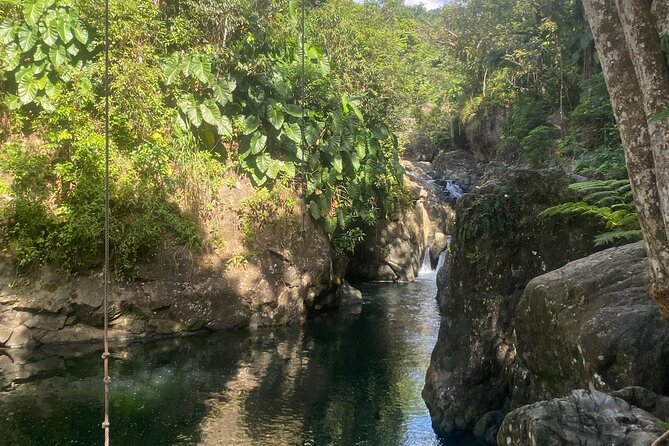 Full-Day El Yunque Rainforest Adventure From Carolina - Included and Excluded