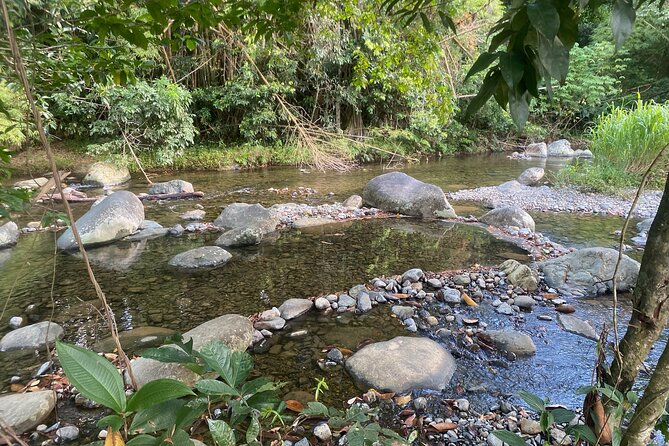 Full-Day El Yunque Rainforest Adventure From Carolina - Highlights of the Adventure