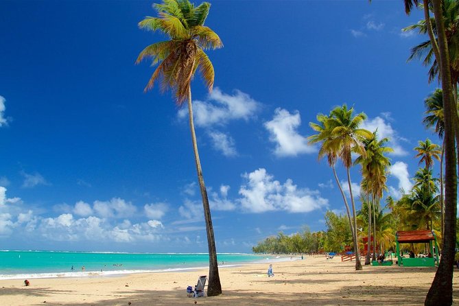 Full-Day El Yunque Rainforest and Luquillo Beach Tour - Preparing for the Tour