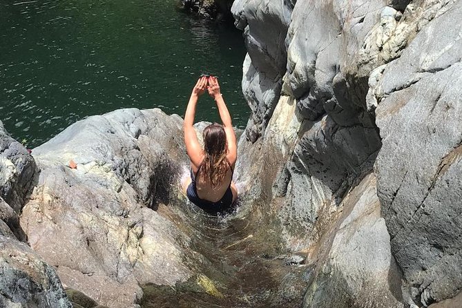 Full-Day El Yunque Rainforest Hike With Waterslide From San Juan - Feedback and Reviews