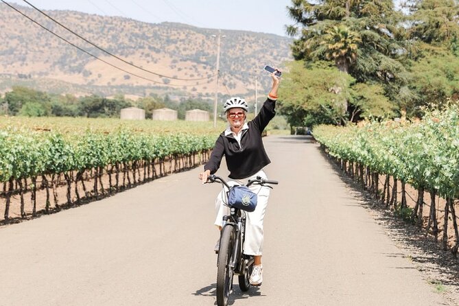 Full-Day Electric Bike Rental - Included Amenities