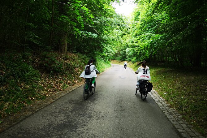 Full-Day Electric Bike Tour From Paris to Versailles - Meeting and Pickup