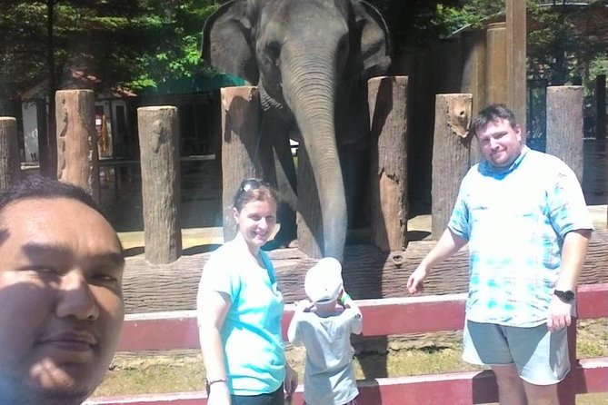 Full Day Elephant Sanctuary Tour With a Free Batu Caves Visit - Elephant Rehabilitation and Interaction