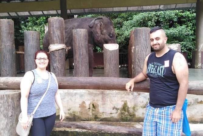 Full Day Elephant Sanctuary Tour With a Free Batu Caves Visit - Pricing and Cancellation Policy