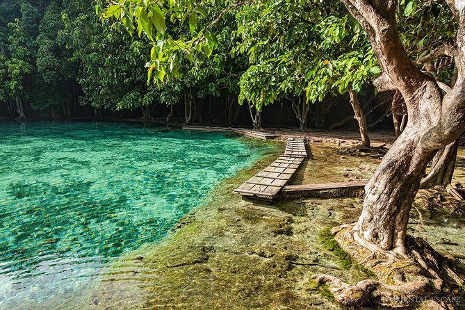 Full Day Emerald Pool and Wareerak Hot Spring Spa - Inclusions