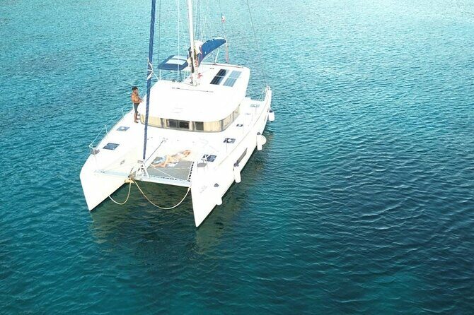 Full day EN Catamaran Martinique Dolphins and Turtles - An Overview of the Experience