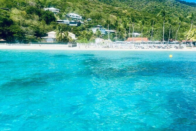 Full day EN Catamaran Martinique Dolphins and Turtles - The Sum Up