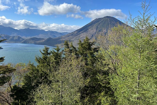 Full Day Enjoy Nature Nikko To-And-From Tochigi Prefecture up to 12 People - Important Notes