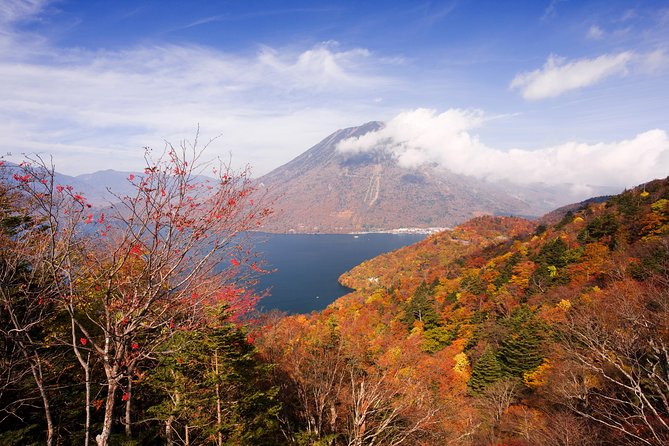 Full Day Enjoy Nature Nikko To-And-From Tochigi Prefecture up to 12 People - Tour Highlights