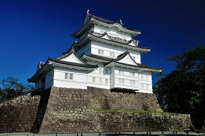 Full-Day Enoura Observatory and Hakone Hot Spring Private Tour - Inclusions and Exclusions