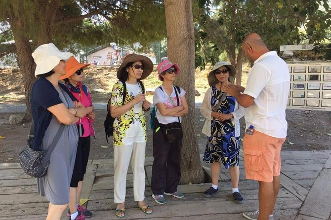 Full Day Ephesus Tour for Cruise Passengers - Tour Overview