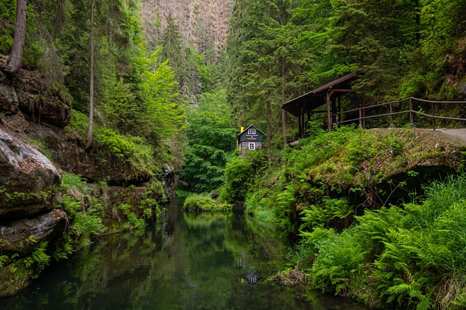 Full-Day Escape to Bohemian and Saxon Switzerland From Dresden - Tour Highlights