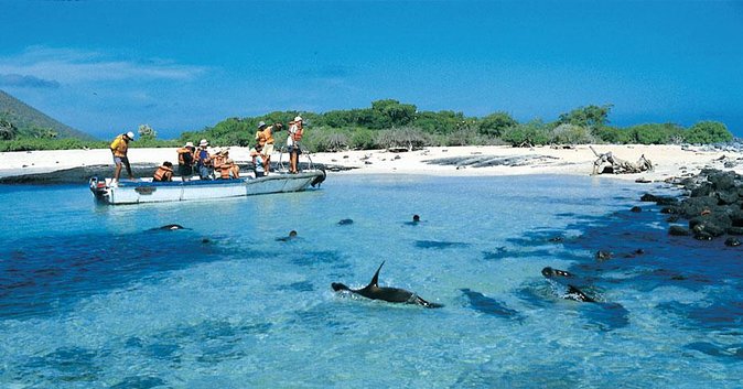Full Day Española Island - Key Points