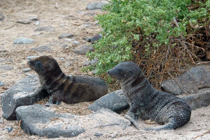 Full Day Española Island - Reviews Summary