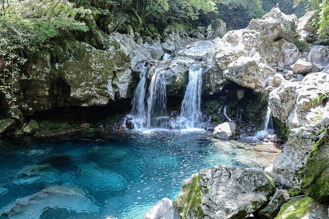 Full Day Essential Jeju Island Private tour for West Course - What Makes This Tour Stand Out?