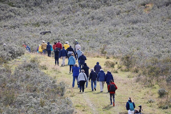 Full-day Estancia Visit and Condor Watching - Key Points