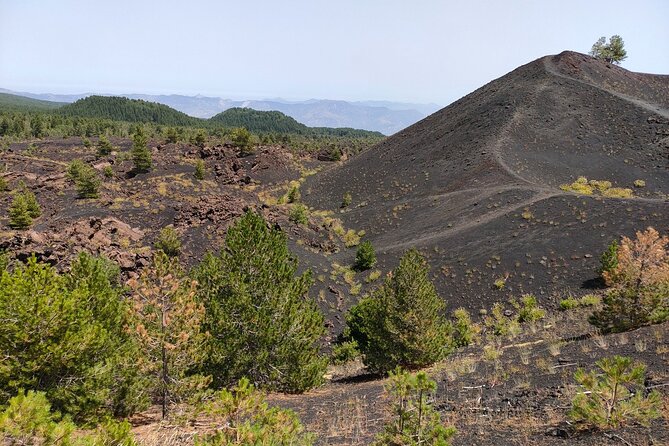Full Day Etna Immersive Trek & Taste From Taormina and Naxos - Culinary Delights